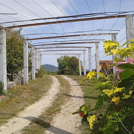 La Maison D'Abelleira Ponteareas Bagian luar foto
