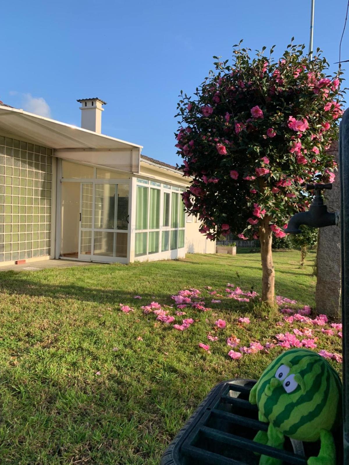La Maison D'Abelleira Ponteareas Bagian luar foto