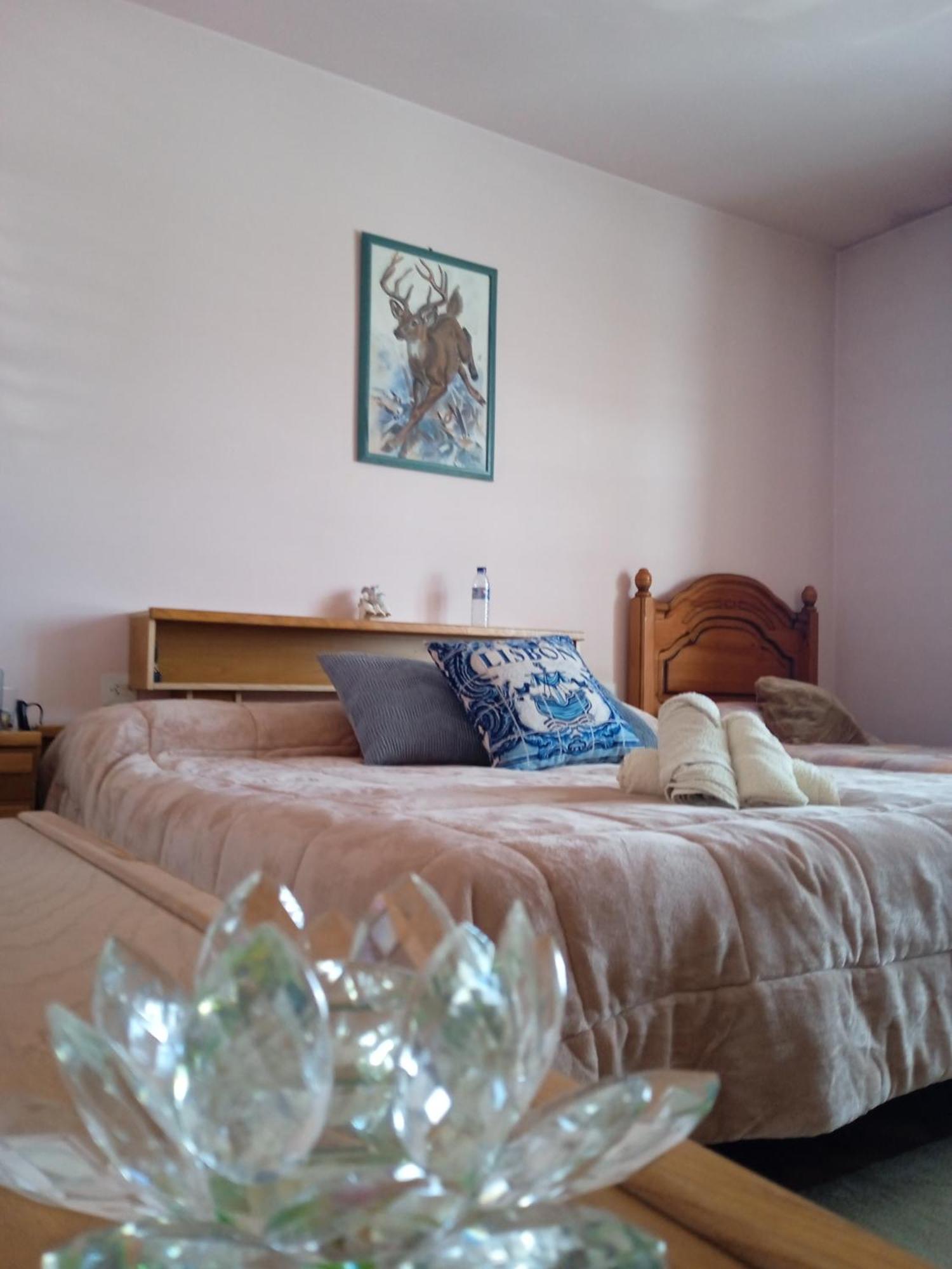 La Maison D'Abelleira Ponteareas Bagian luar foto